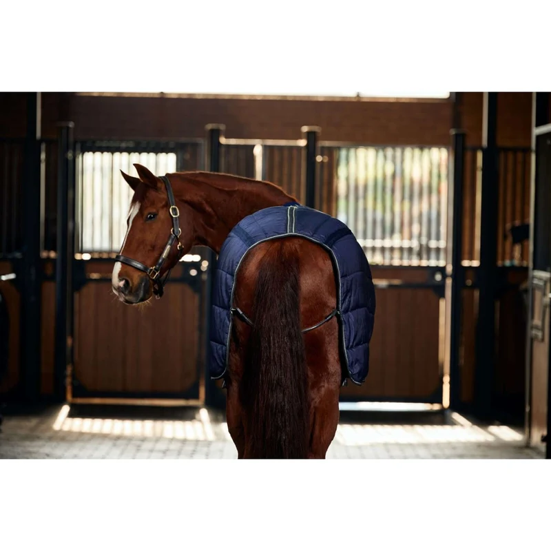 WeatherBeeta Couverture d'Écurie ComFiTec PP Channel Quilt Detach-A-Neck 220g Navy/Charcoal