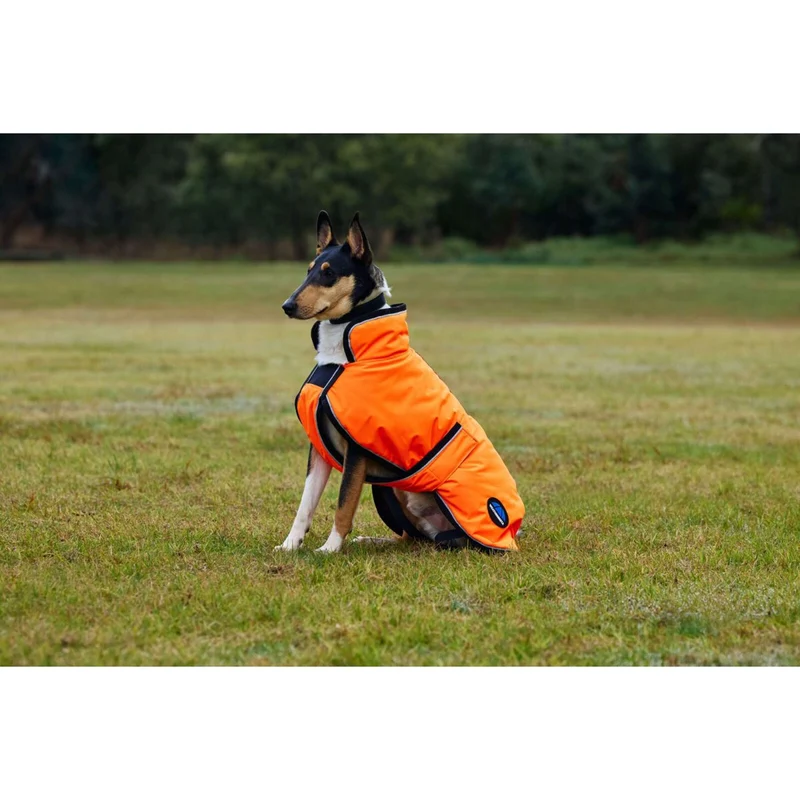 WeatherBeeta Couverture pour Chien ComFiTec Reflective 300D Deluxe Showerproof Orange