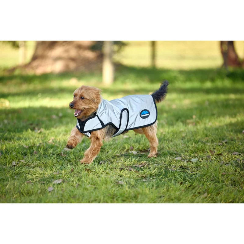 WeatherBeeta Couverture pour Chien ComFiTec Reflective Showerproof Argent