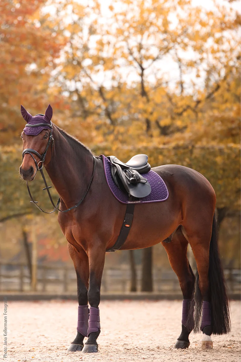 Schockemöhle Tapis de Selle SPCeramica Dressage Violet Foncé