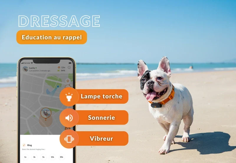 Gps Weenect Chien
