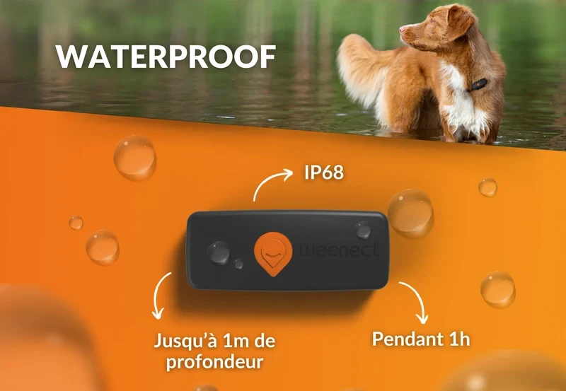 Gps Weenect Chien