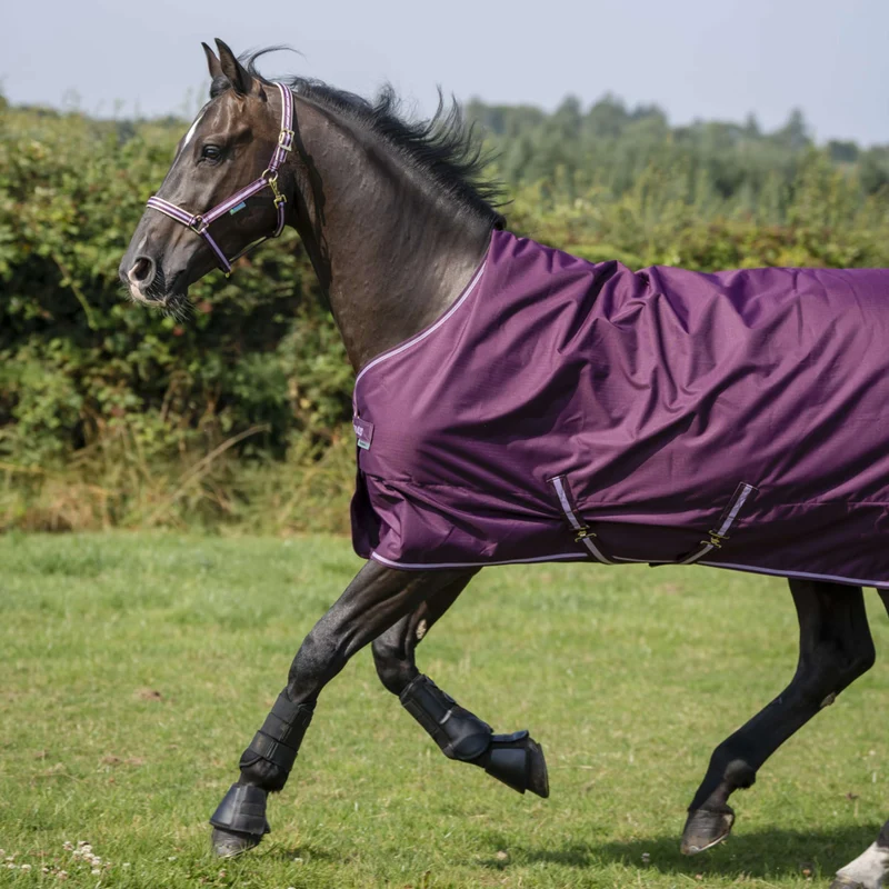 Bucas Freedom Turnout 300g Blackberry