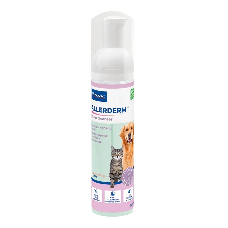 Allerderm Foam chat, chien