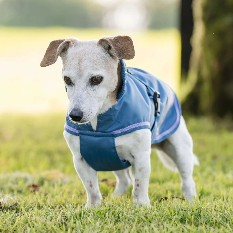 Bucas Freedom Dog Rug 300g Blueberry