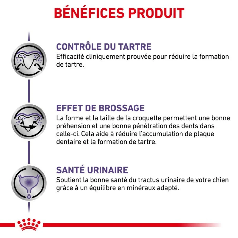 Royal Canin Ehn Chien Small Dental - croquettes chien