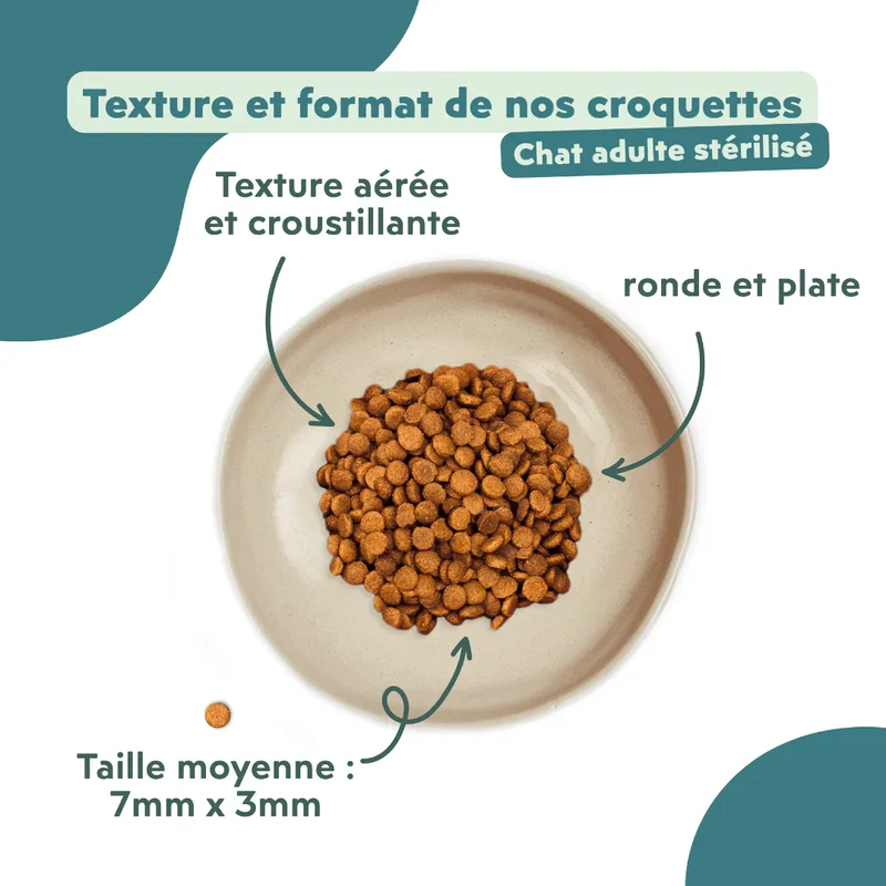 Ziggy Chat Adulte Stérilisé Saumon Croquettes 1kg
