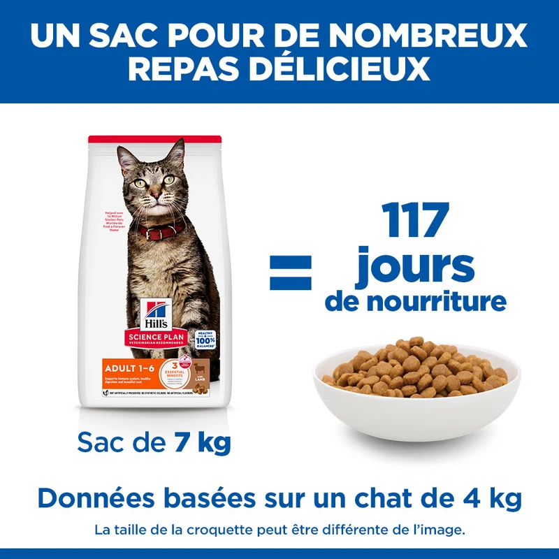 Hill's Science Plan - Croquettes pour Chat Adulte à l'Agneau 10kg