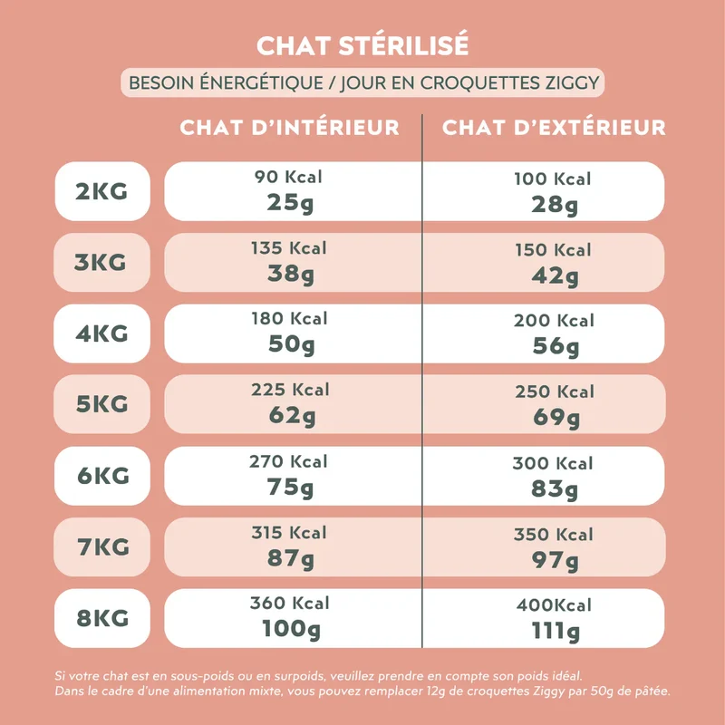 Ziggy Chat Adulte Stérilisé Poulet