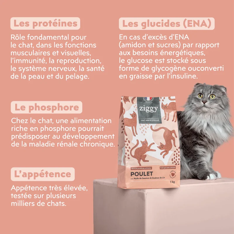 Ziggy Chat Adulte Stérilisé Poulet