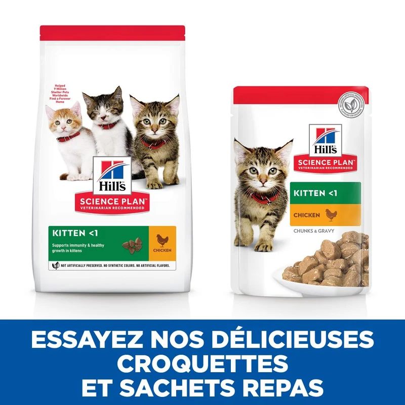 Hill's Science Plan Kitten en bouchées saveurs mixtes – pâtée chaton