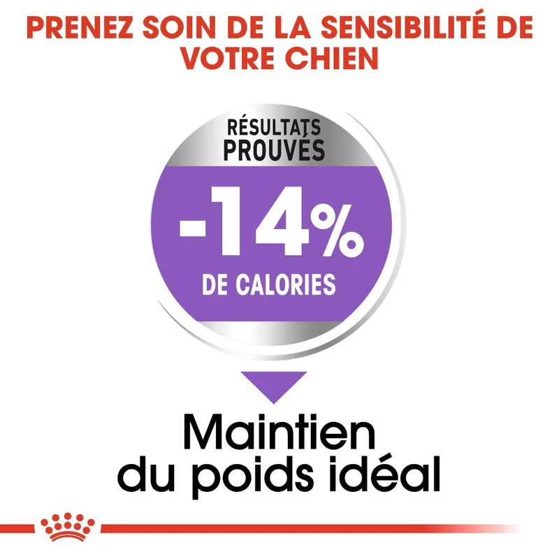 Royal Canin Maxi Sterilised - Croquettes pour chien 12kg