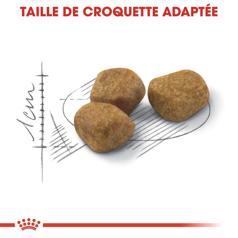 Royal Canin Indoor 7+ - croquettes chat