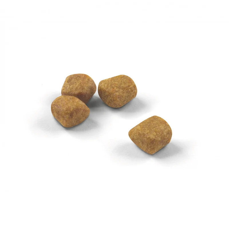 Royal Canin Indoor 7+ - croquettes chat