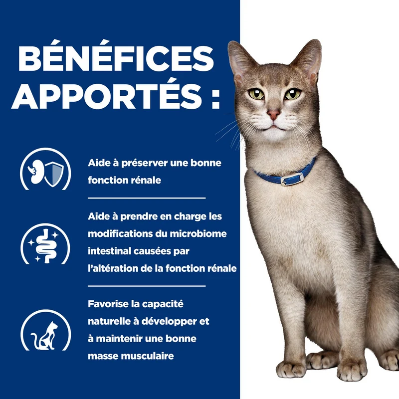 Hill's Prescription Diet k/d Kidney Care au poulet - croquettes chat