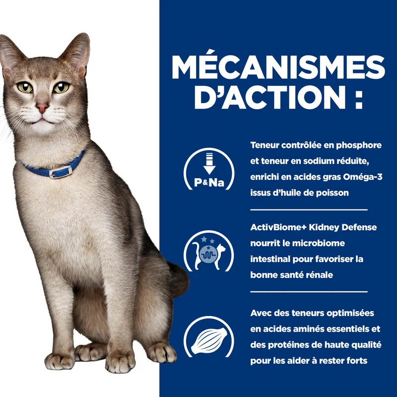 Hill's Prescription Diet k/d Kidney Care au poulet - croquettes chat