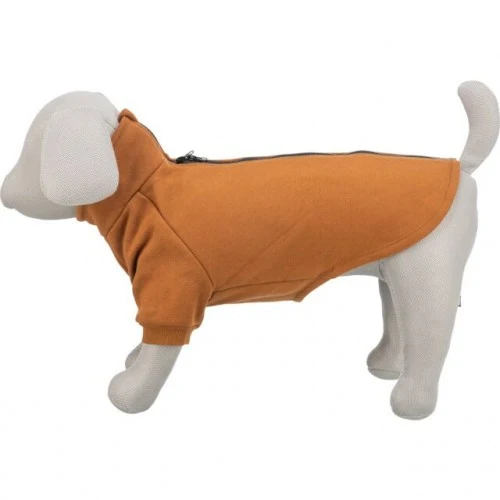 Sweat CityStyle Amsterdam orange rouille chien