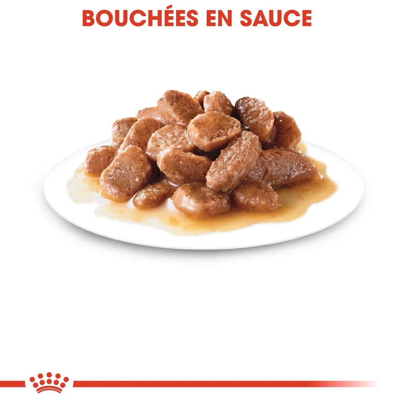 Royal Canin Instinctive 7+ - pâtée chat