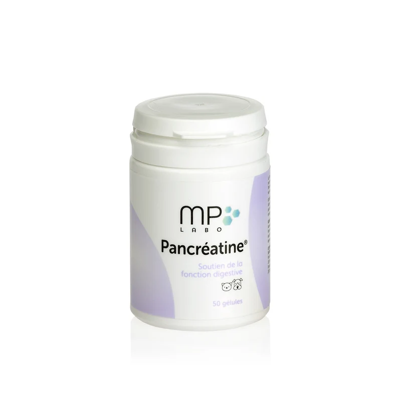 Pancreatine chat, chien