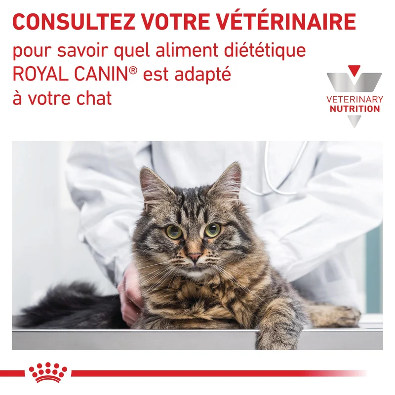 Royal Canin Veterinary Early Renal - aliment chat