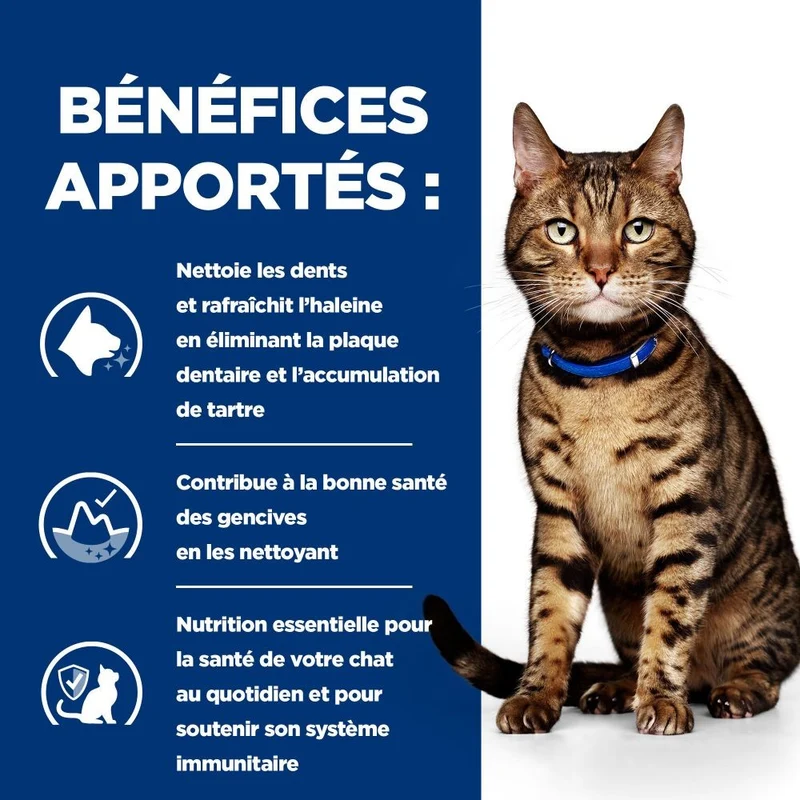 Hill's Prescription Diet t/d Dental Care au poulet - croquettes chat
