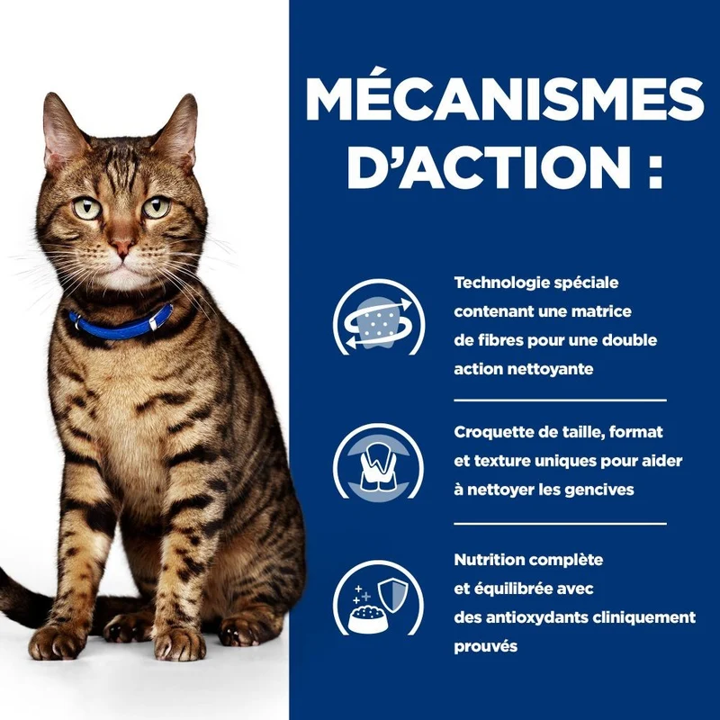 Hill's Prescription Diet t/d Dental Care au poulet - croquettes chat