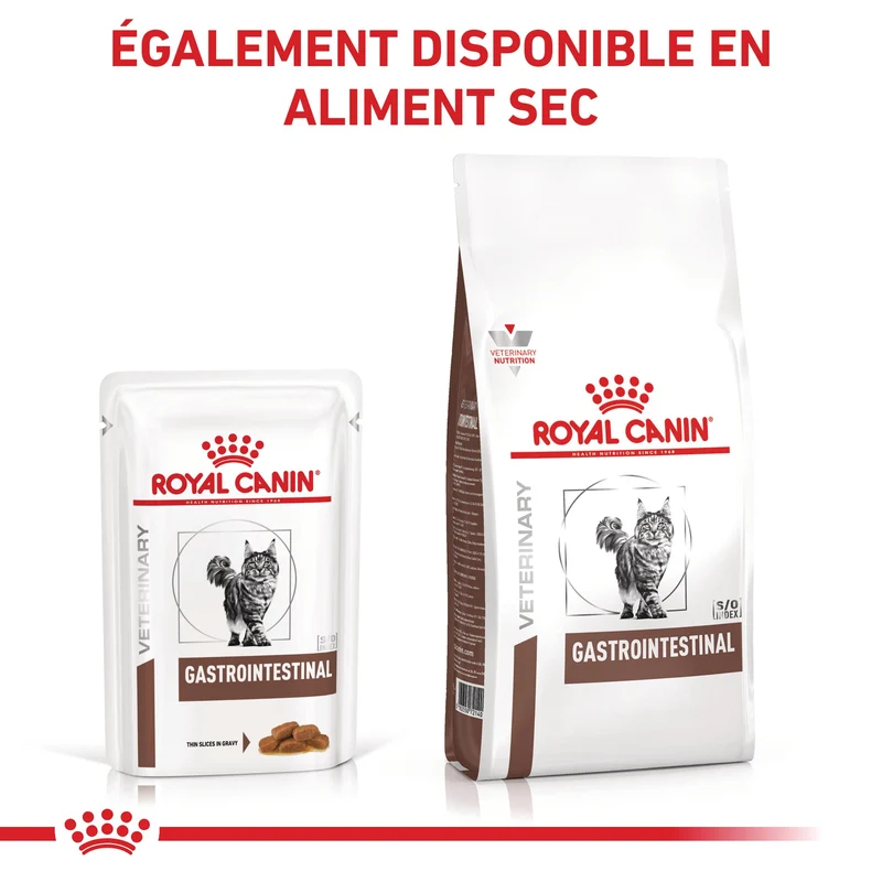 Royal Canin Veterinary Gastrointestinal - croquettes chat