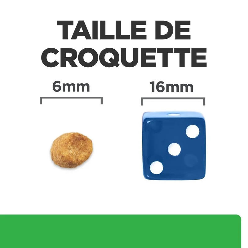 Hill's Prescription Diet r/d Weight Loss au poulet - croquettes chat