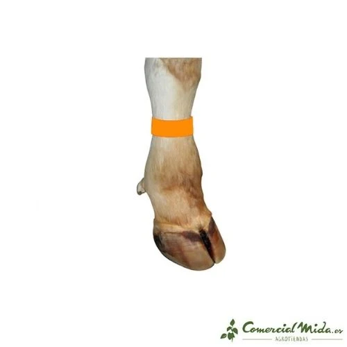 KERBL Bracelet en Plastique pour Bovins 37x3,8cm (Diverses Couleurs)