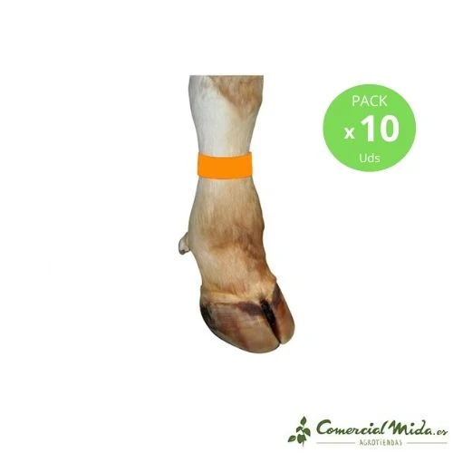 KERBL Bracelet en Plastique pour Bovins 37x3,8cm (Diverses Couleurs)