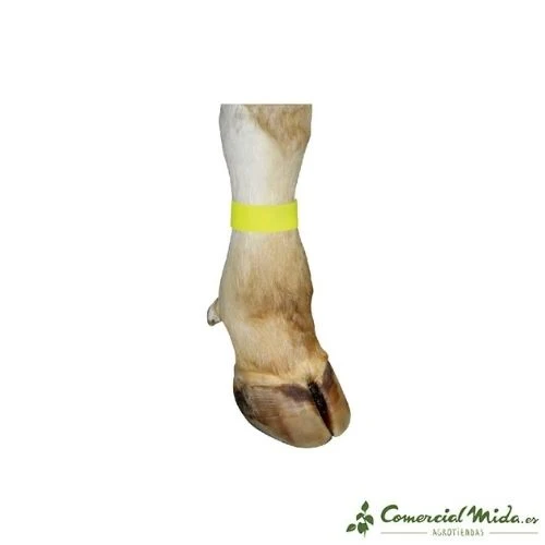 Bracelet KERBL avec Fermeture Velcro pour Bovins 33x4cm (Diverses Couleurs)