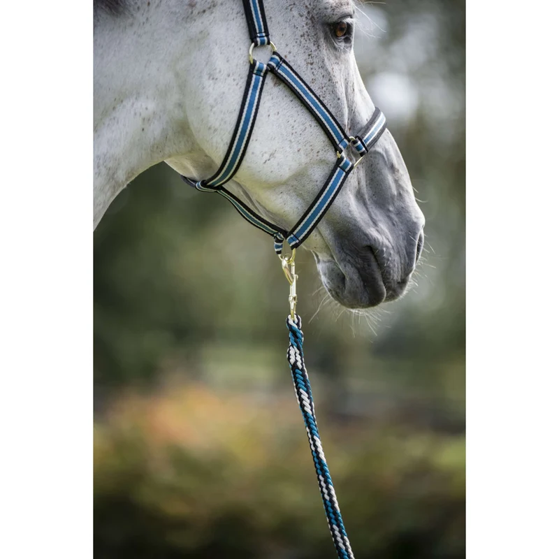 Bucas Corde pour Licol Comfort avec Mousqueton Sapphire