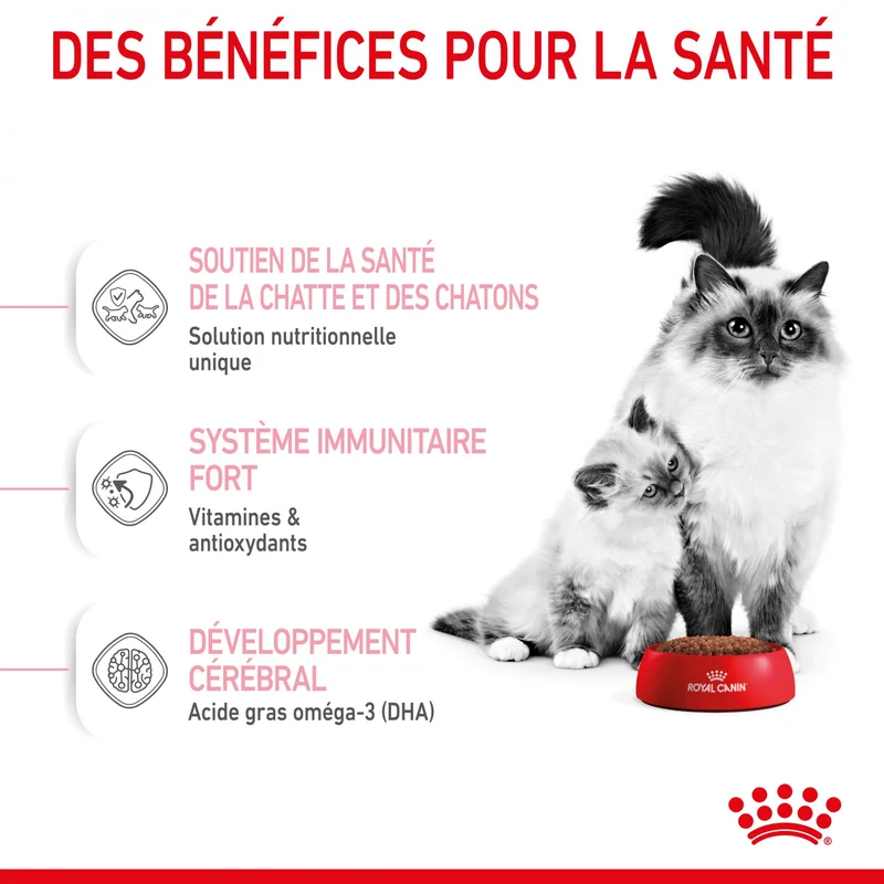 Royal Canin Mother & Babycat - croquettes chatte, chaton