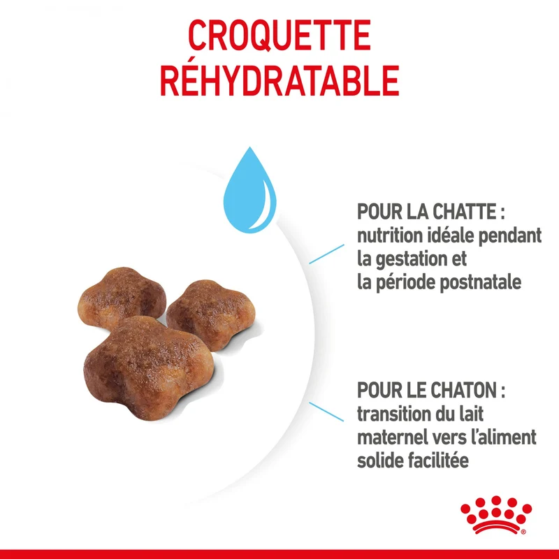 Royal Canin Mother & Babycat - croquettes chatte, chaton