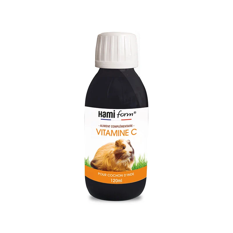 Vitamine C cochon d'Inde