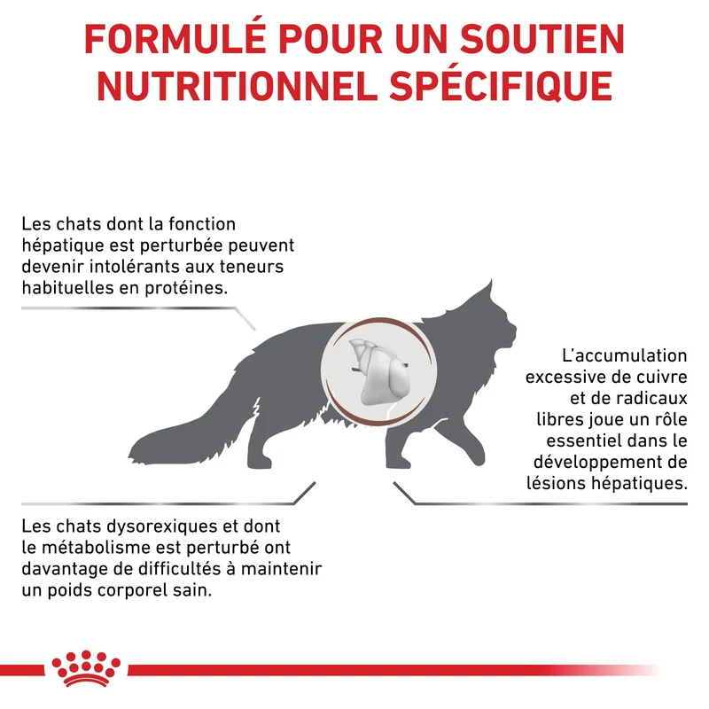 Royal Canin Veterinary Hepatic - Pour chat