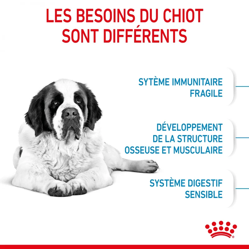 Royal Canin Giant Junior - Croquettes pour chiot
