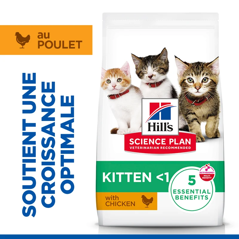 Hill's Science Plan Kitten au poulet - croquettes chaton