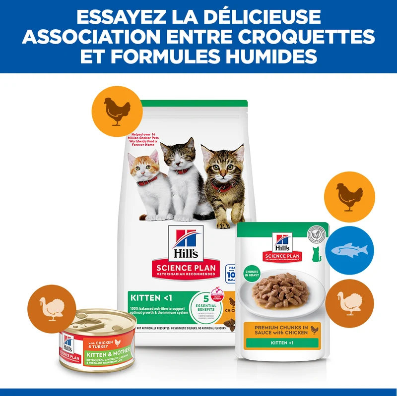 Hill's Science Plan Kitten au poulet - croquettes chaton