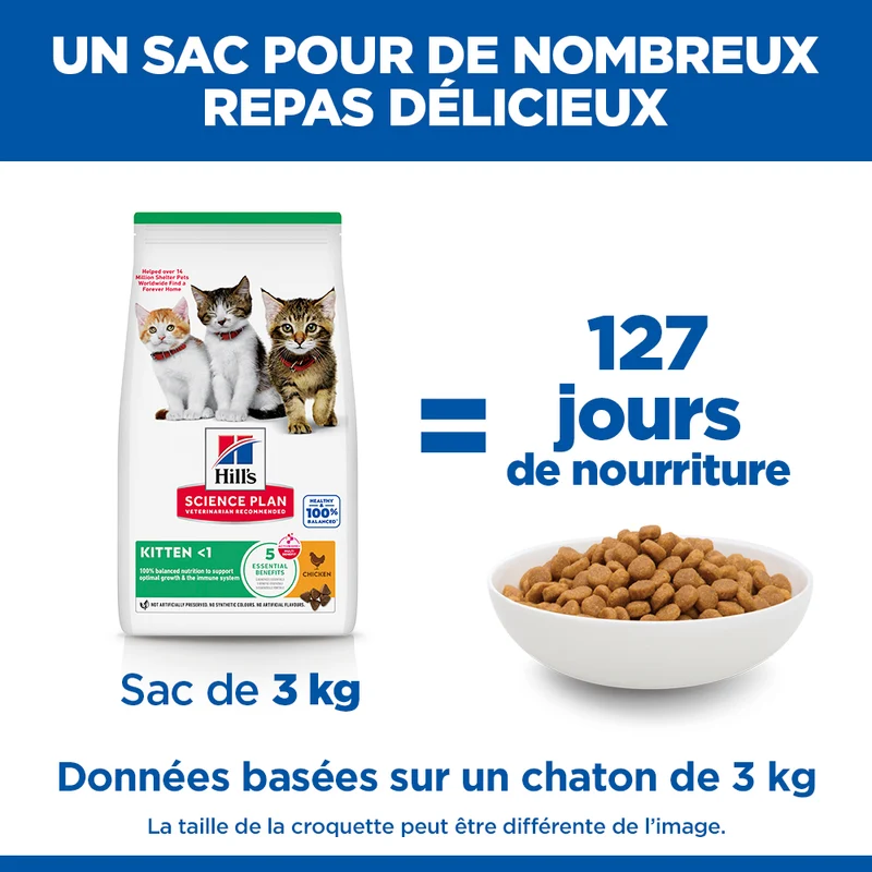 Hill's Science Plan Kitten au poulet - croquettes chaton