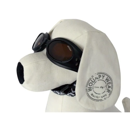 Lunettes de soleil chien