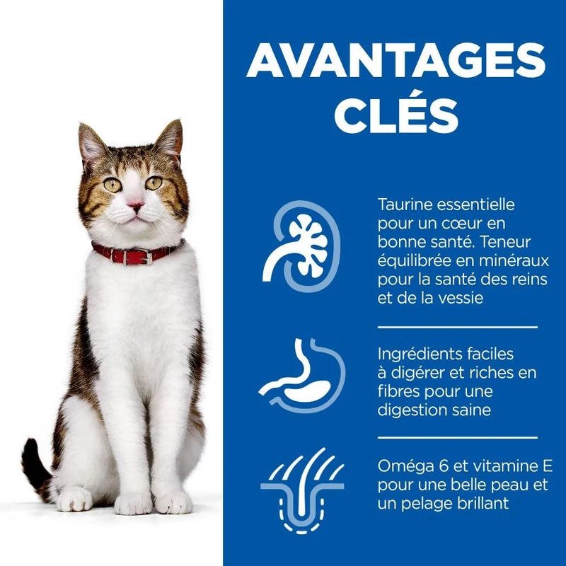 Hill's Science Plan Mature Adult 7+ en sachets - pâtée chat