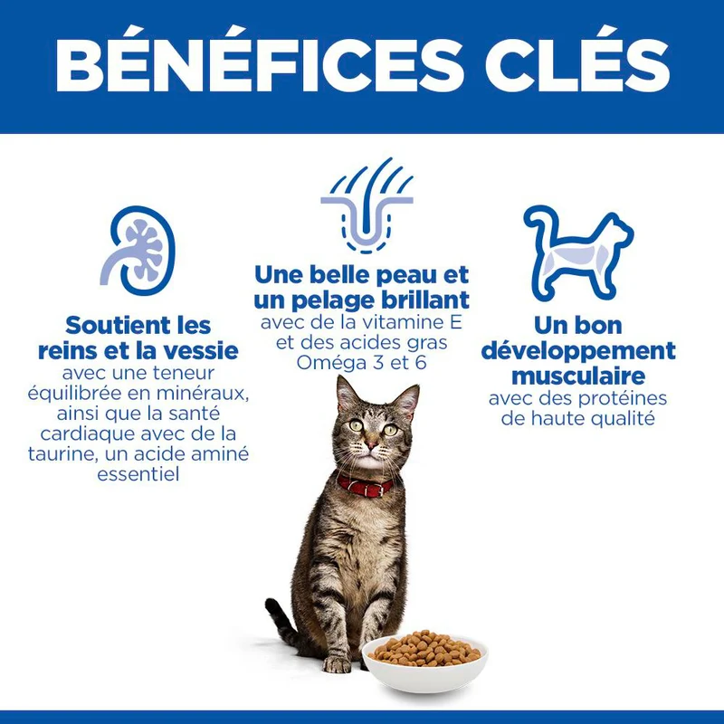 Hill's Science Plan Adult au poulet - croquettes chat