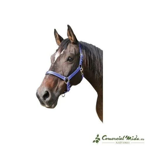 Bridon KERBL Mustang Nylon Double Ajustement pour Chevaux