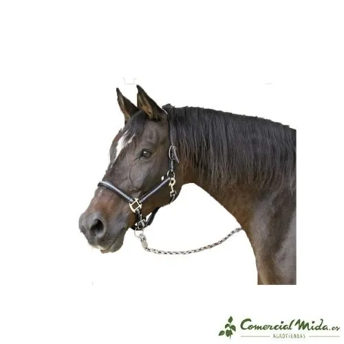 Bridon KERBL Mustang Nylon Double Ajustement pour Chevaux