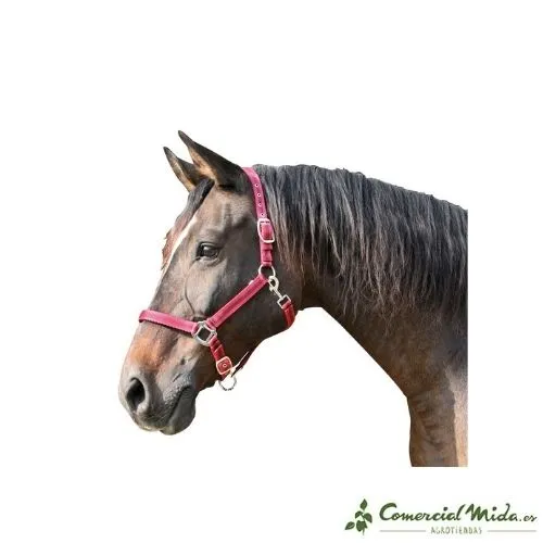 Bridon KERBL Mustang Nylon Double Ajustement pour Chevaux