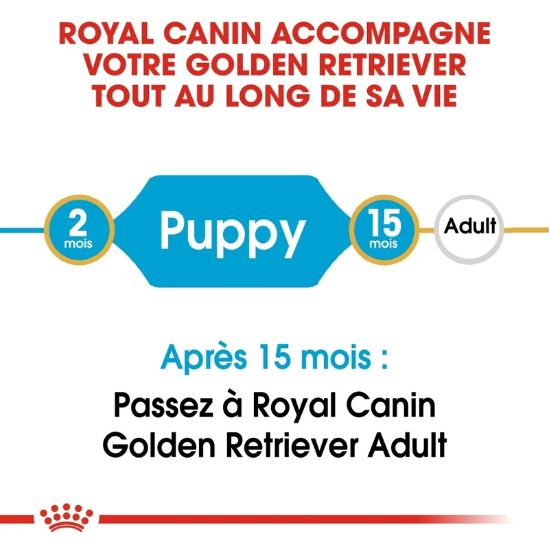 Royal Canin Golden Retriever Puppy - Croquettes pour chiot