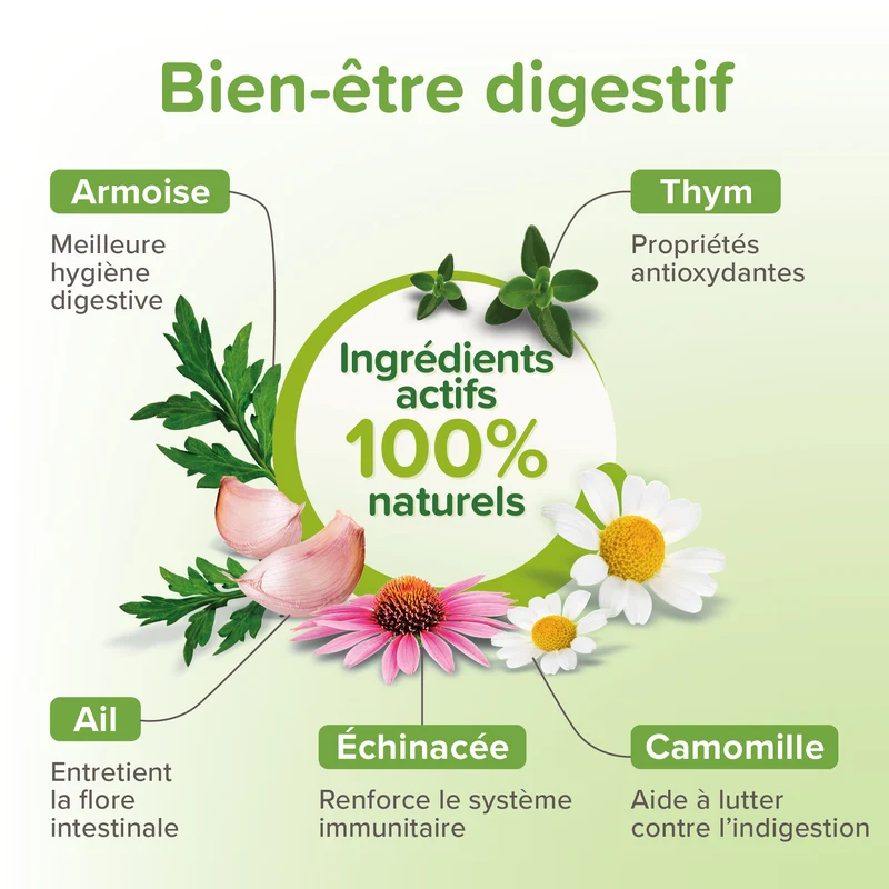 Vermipure comprimés Purge chiot, petit chien