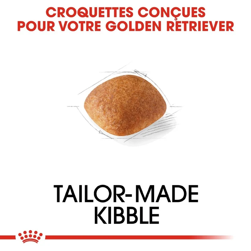 Royal Canin Golden Retriever Adult - Croquettes pour chien