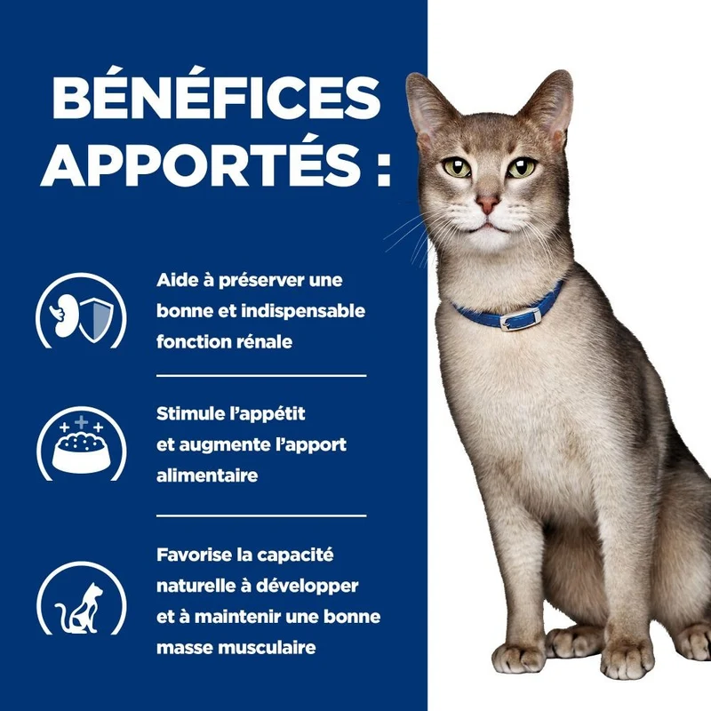 Hill's Prescription Diet k/d Kidney Care en bouchées au bœuf - pâtée chat